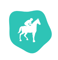 Ecurie De La Peraliere CENTRE EQUESTRE LA TARDIERE Cours Particuliers Adaptes