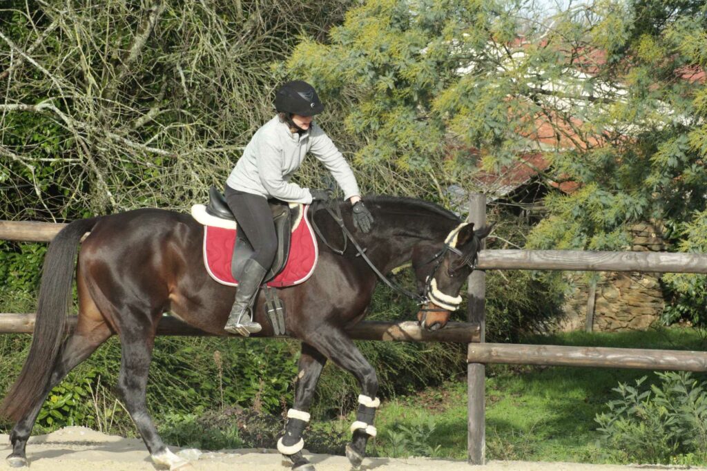 Ecurie De La Peraliere CENTRE EQUESTRE LA TARDIERE Img 11