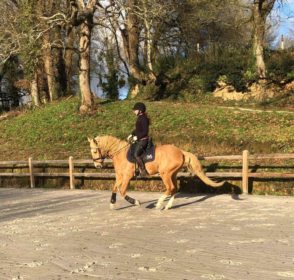 Ecurie De La Peraliere CENTRE EQUESTRE LA TARDIERE Img 13