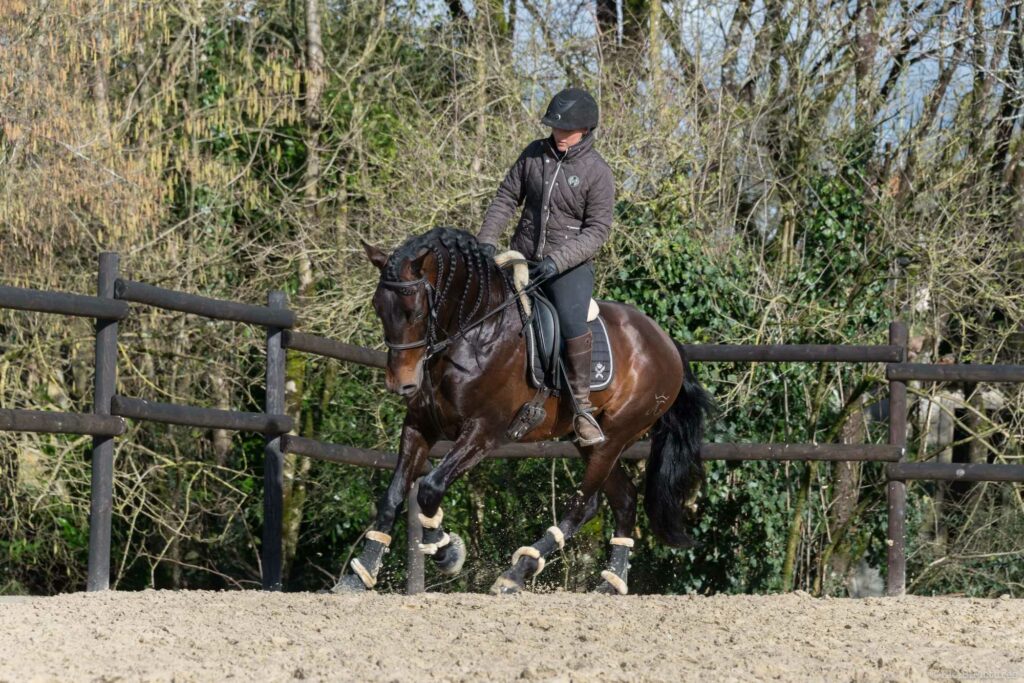 Ecurie De La Peraliere CENTRE EQUESTRE LA TARDIERE Img 15