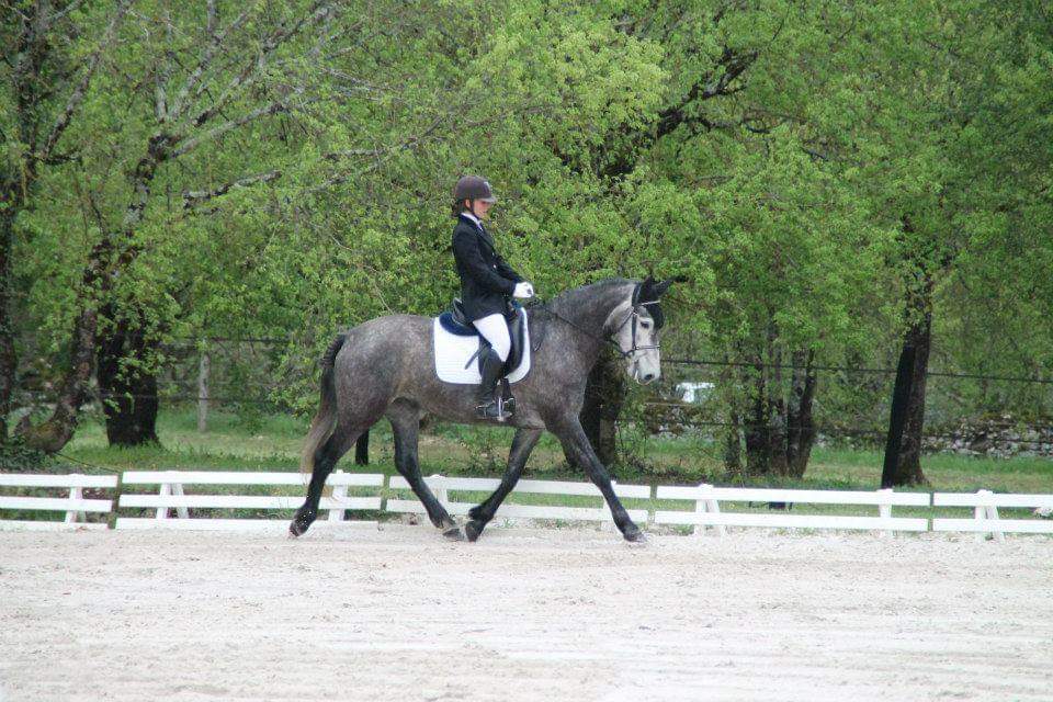 Ecurie De La Peraliere CENTRE EQUESTRE LA TARDIERE Img 18