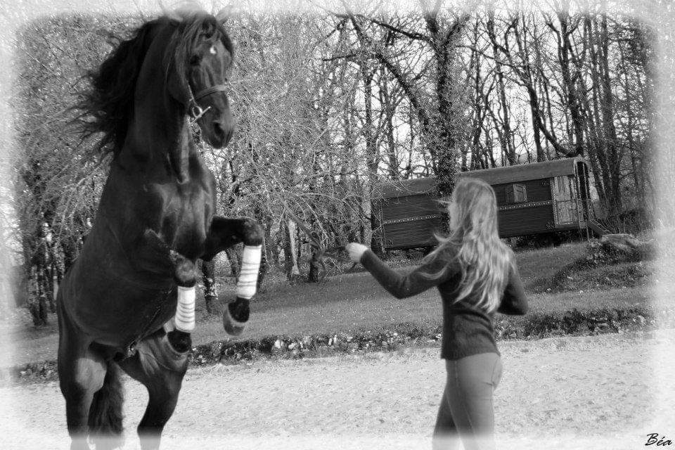 Ecurie De La Peraliere CENTRE EQUESTRE LA TARDIERE Img 20