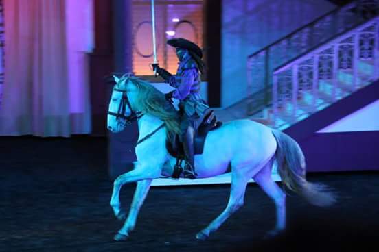 Ecurie De La Peraliere CENTRE EQUESTRE LA TARDIERE Img 23
