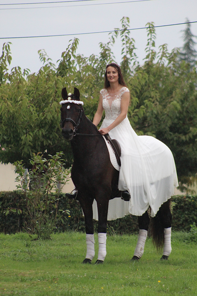 Ecurie De La Peraliere CENTRE EQUESTRE LA TARDIERE Image 78
